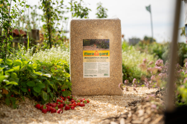 Floragard Miscanthus Mulch - Bamboo-Wonderwalls