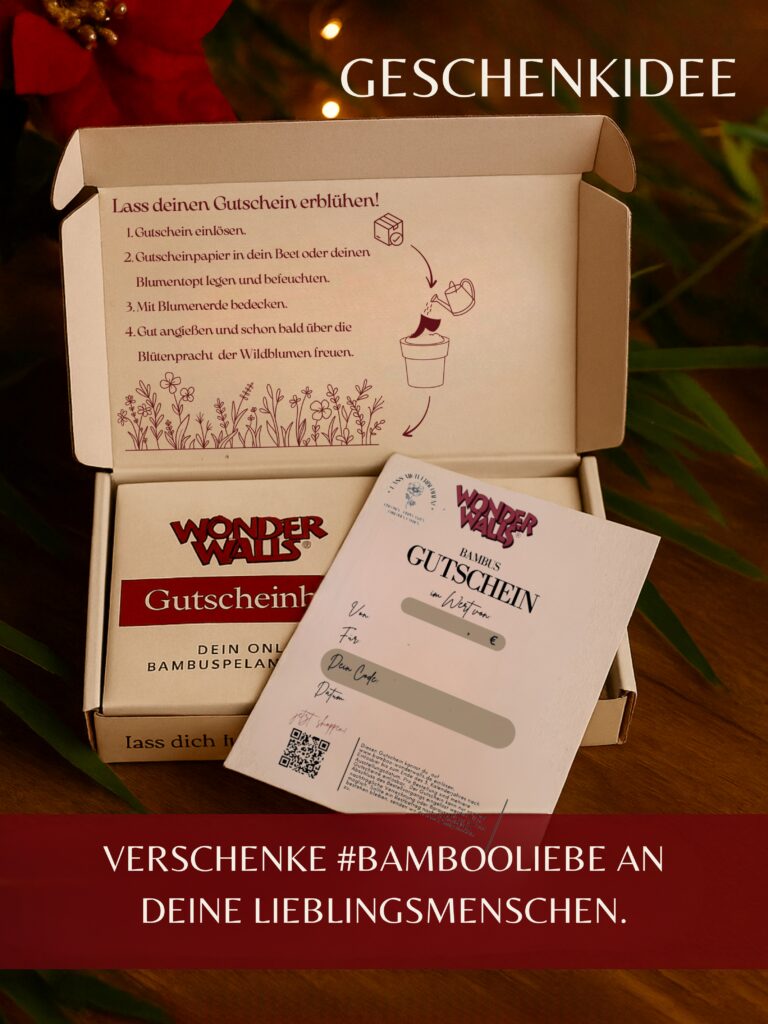 Geschenk-Gutscheinbox von Bamboo Wonderwalls in Weihnachtlichem Ambiente