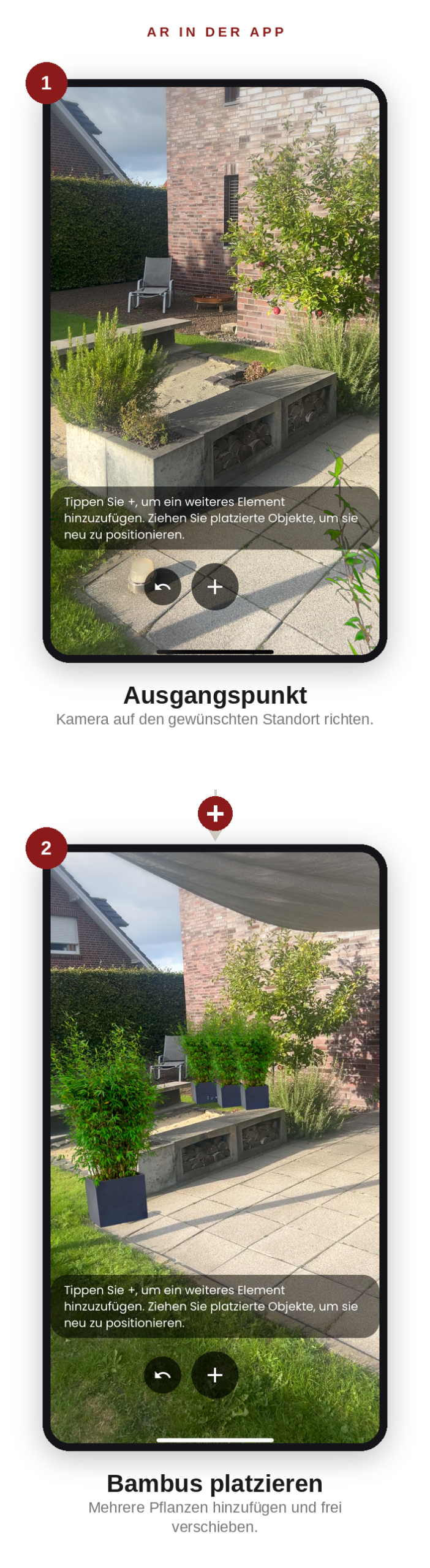 AR-Bambusplanung-wonderwalls-app